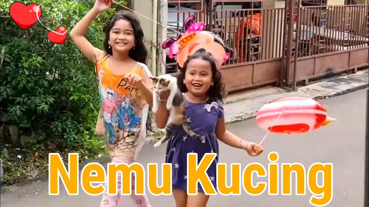 NEMU KUCING LUCU 💞 HANUM BOCIL MAIN SALON SALONAN DAN BALON KARAKTER, EH MALAH NEMU KUCING