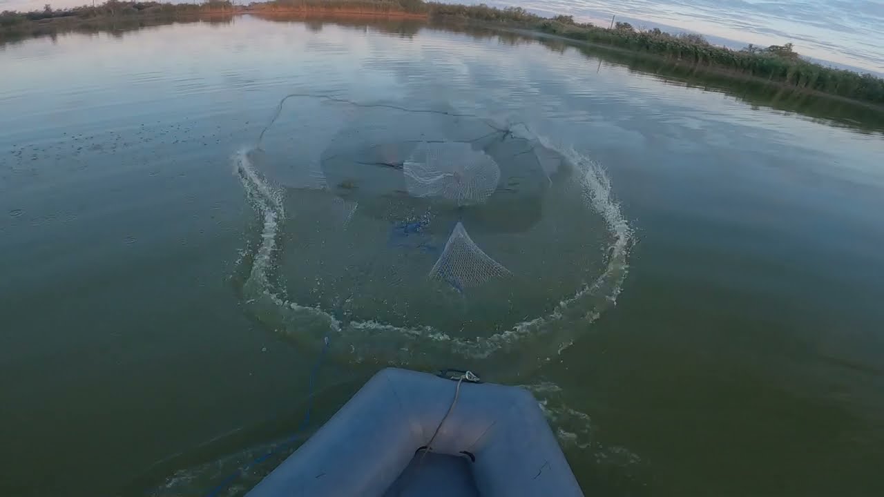 Бомбическая рыбалка кастинговой сетью наловил много рыбы.