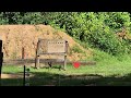 Airgunning with the HW-97K at the East Texas Rifle And Pistol Club.