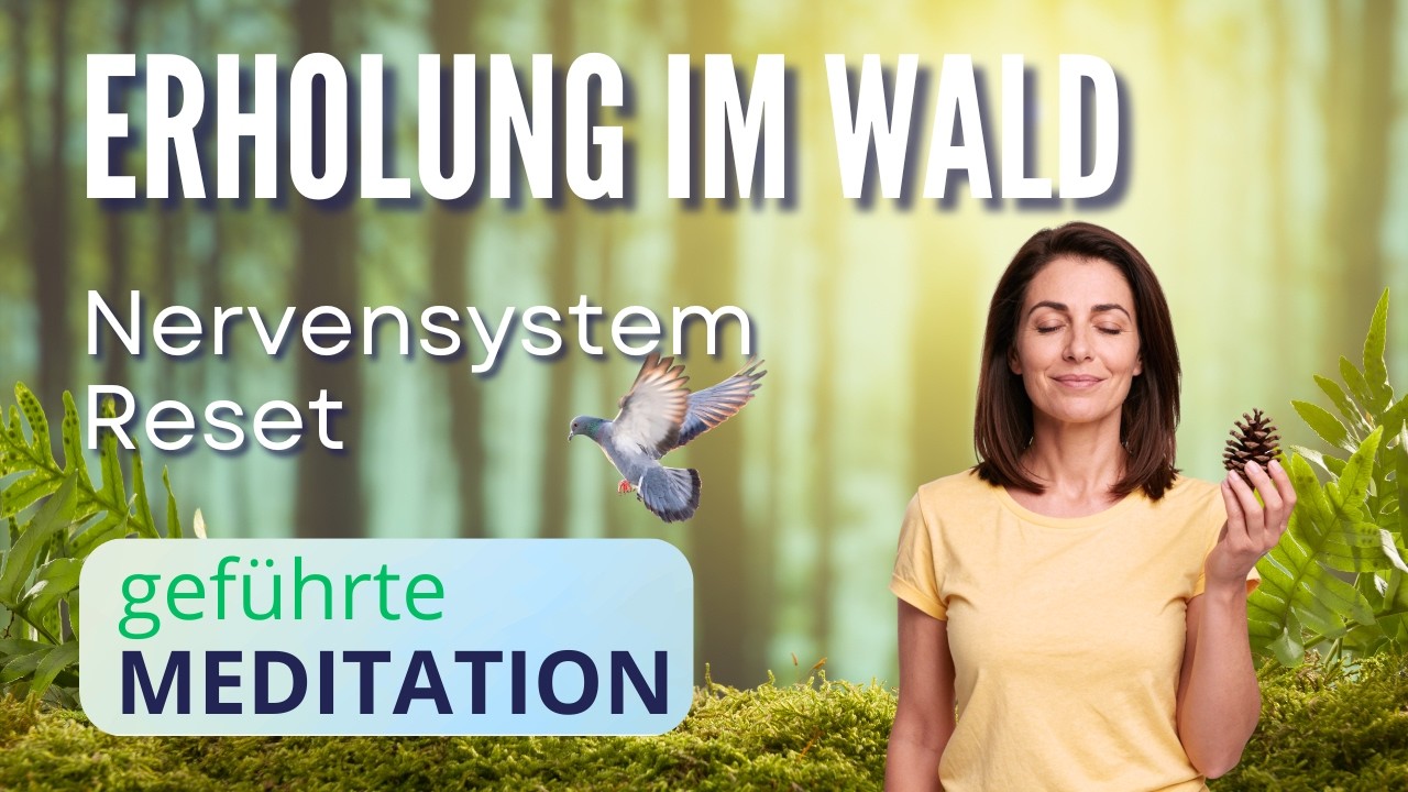 Vagusnerv entspannen | Waldbaden für Körper & Seele | 19 Min.