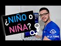 ¿Cómo saber si es NIÑO o NIÑA por ULTRASONIDO?