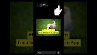 Stop Status Alerts From Someone On Whatsapp