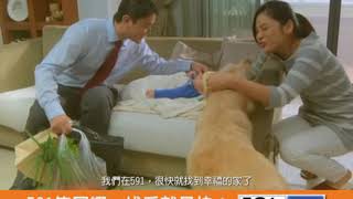591租屋網 感性旁白篇