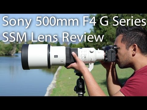 Sony 500mm F4 G Series SSM Lens Review | John Sison