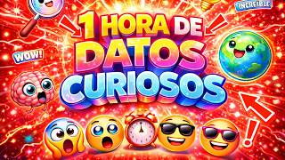 1 HORA de DATOS CURIOSOS QUE SEGURAMENTE TE SORPRENDERAN | DESCUBRELOS! 😯😯😯