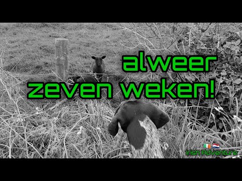 Video: Ierland in twee weke - 'n reisroetevoorstel