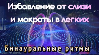 Избавление от слизи и мокроты в легких | Улучшите дыхательную способность | Укрепите свои легкие