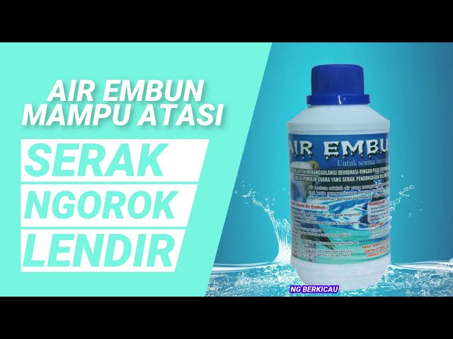 Air Embun Cocok Untuk semua Burung Kicau class=