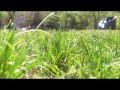 【作業用BGM / 著作権フリーBGM】夢人 - 旅路【爽やか/ 穏やか / 軽快】