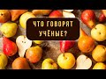 Груша - забытый фрукт / Что говорят учёные?