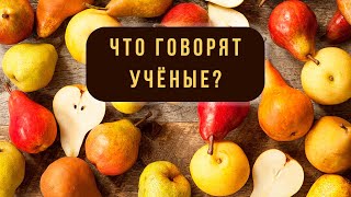 Груша - забытый фрукт / Что говорят учёные?