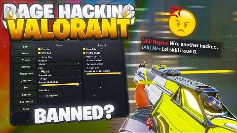 Valorant Cheats | Can I Go Pro With Them? (INSANE RESULTS)