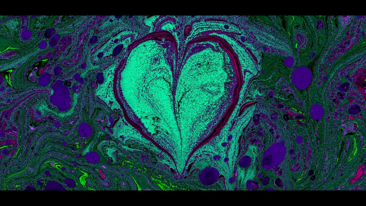 Arthur Lee - Everybody's Gotta Live (Cover) by Damion Lee Taylor