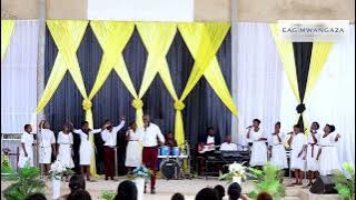 THE LIGHT WORSHIP TEAM