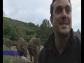 Belfast Zoo 75th anniversary - video 1