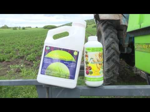 კომპანია \"ჯეოფერტი\"