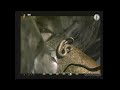 Call of Juarez-Early Footage 3