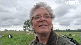 Doe Jij Mee Met Mijn Nieuwe Jaarprogramma Echte Aandacht Werkt ? Leiderschapsparadox