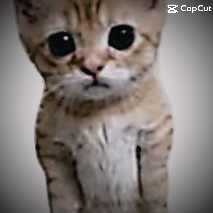 Elgato - YouTube