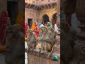 संकट मोचन हनुमान मंदिर वाराणसी 🚩 | चमत्कारी मंदिर