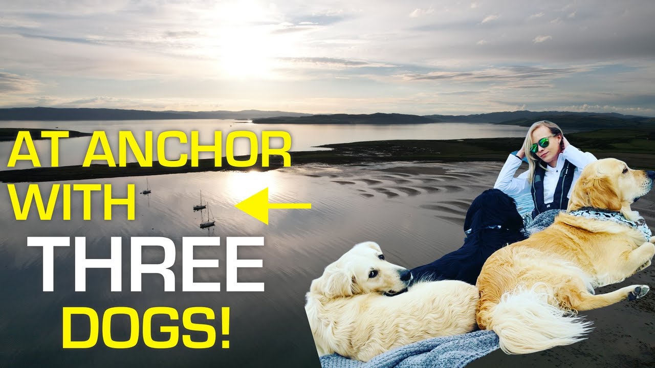 A day in the life, with THREE dogs onboard! | Sailing Ragdoll [Ep.21]