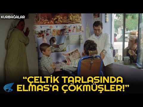 Kurbağalar Türk Filmi | Çletik Tarlasında Elmas'a Çökmüşler!