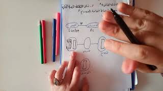 الدرس5:انحفاظ الطاقة3متوسط🧐🤫🤔