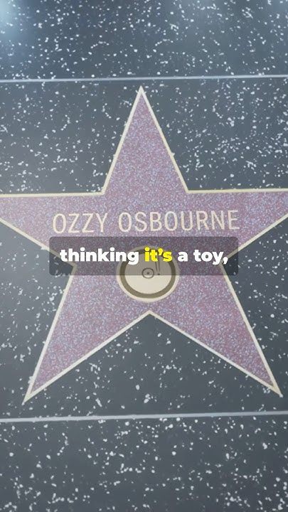 ozzy osbourne bat biting incident date