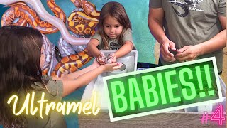 Celebrity Another Worlds First!? // Expanding The Bamboo Ultramel Project Profile