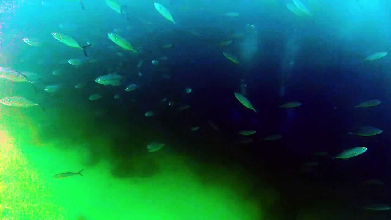 Neptune's Finger  - Cabo