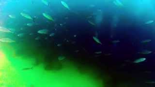 Neptune's Finger  - Cabo