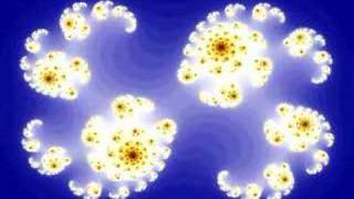 Fractal Evolution