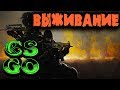 Троллим врагов в Запретной Зоне - Обновление в бесплатной CS GO. Путь в ТОП троллинга в КС ГО