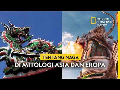 Loading video