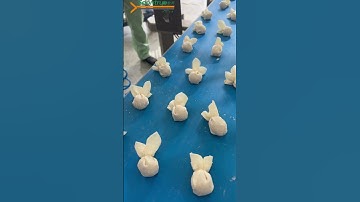 【Wonton Machine】 #dumplingmakingmachine #dumplingmaker #dumplingspace#dimsumfrozen