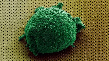 Label-Free Optofluidic Nanobiosensor Enables Real-Time Analysis of Single-Cell Cytokine Secretion