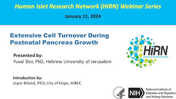 HIRN Webinar: Extensive Cell Turnover During Postnatal Pancreas Growth