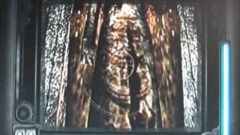 Fatal Frame Part 10: 3rd Night: The Calamity