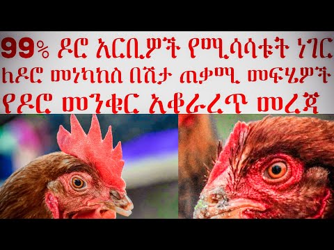 ቪዲዮ: ለምንድነው መንቁር ነባሪዎች እምብዛም የማይታዩት?