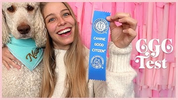 The Canine Good Citizen (CGC) Test Step by Step