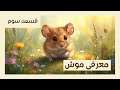 حقایقی که هیچ وقت درباره موش ها نمی دونستی باهوش تر و بامزه تر از تصورت