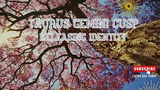 Taurus-Gemini Cusp - Releasing Identity!