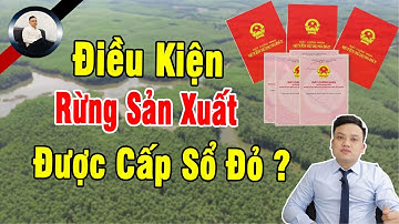 Điều Kiện Để Rừng Sản Xuất Được Cấp Sổ Đỏ ?