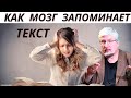 Как мозг сохраняет информацию. Профессор Савельев