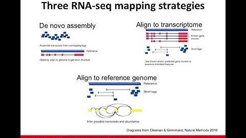 RNA-Seq Alignment and Visualization