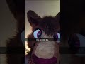 Hop On COD Bro. #pittsburghfurry #fursuit #fyp