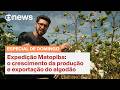 Expedição Matopiba: o crescimento da produção e exportação do algodão