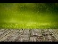 المطر وأصوات العصافير لنسيان الهموم والاستغراق في النوم 🎧 Rain &amp; Birdsongs