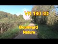 VR 180 3D   Allonnes   Boulevard Nature   8 novembre 2021