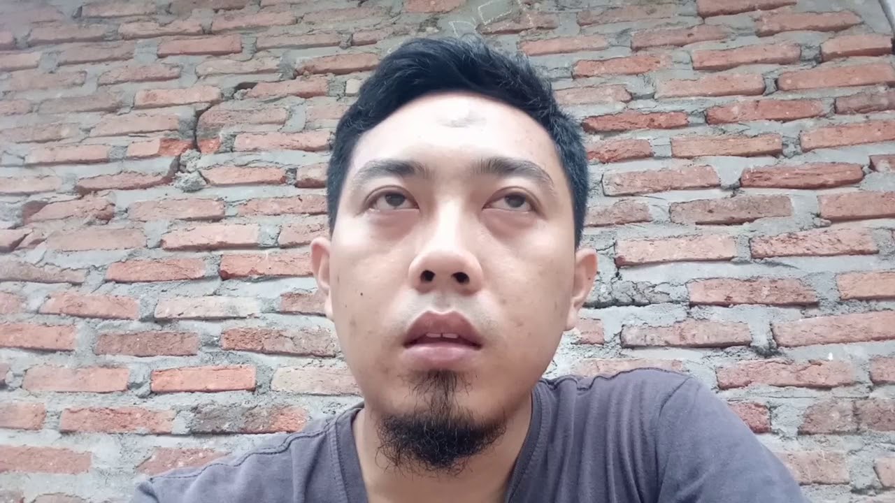 Persiapan dan tahap awal ternak guppy,, 